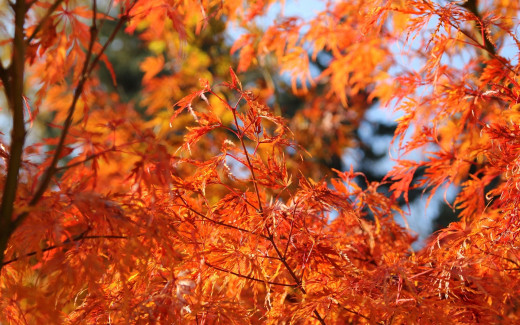 637952 (a): :1920x1200